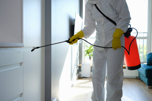 Best Fast Mold Removal  in Galliano, LA