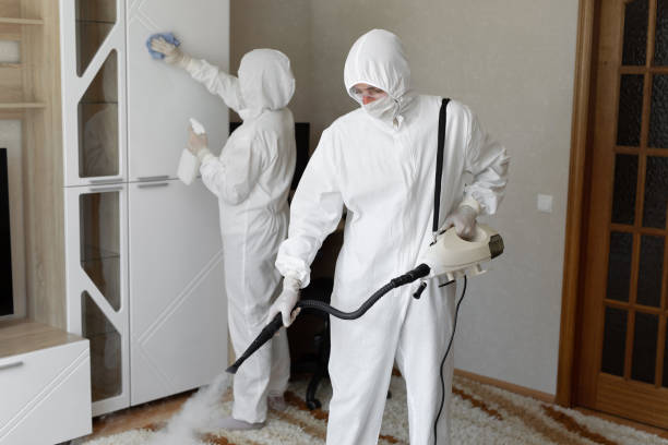 Best Certified Mold Removal  in Galliano, LA