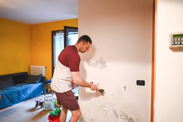 Best Water Damage Restoration  in Galliano, LA